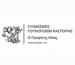 profitisilias logo idiotikos tomeas